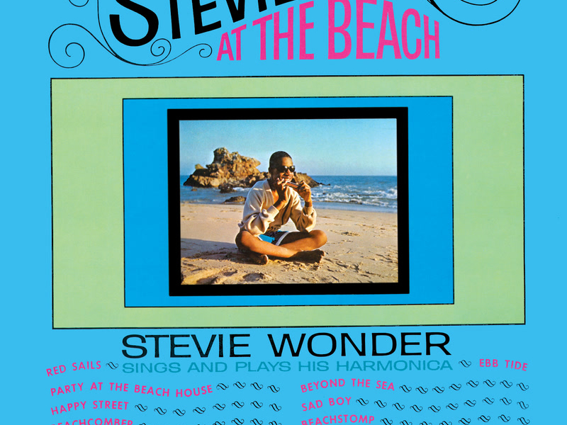 Stevie At The Beach