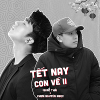 Tết Nay Con Về 2 (Single)