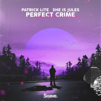 Perfect Crime (Single)