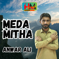 Meda Mitha (Single)