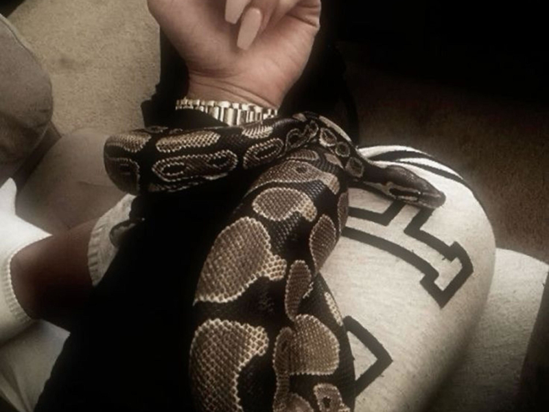 My Bubble Gum (Slowed + Reverb) (Single)