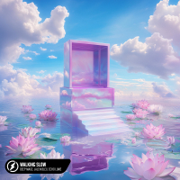 Walking Slow (Single)