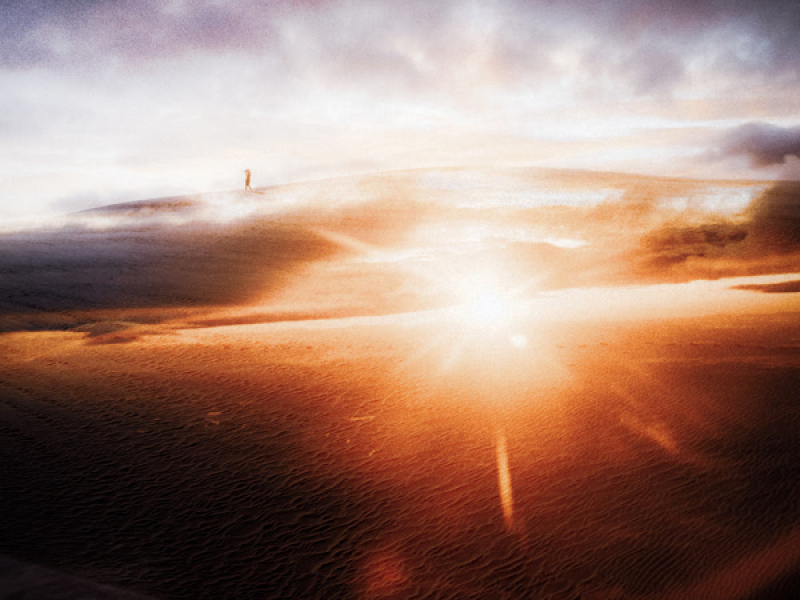 Take Me To Paradise (Single)