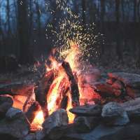 Burning Logs on an Open Fire (Single)