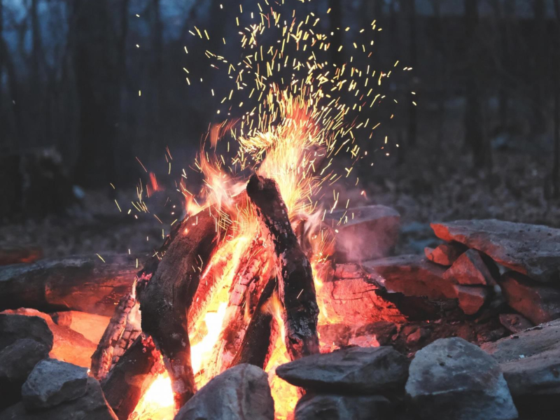 Burning Logs on an Open Fire (Single)