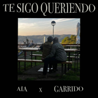 TE SIGO QUERIENDO (Single)