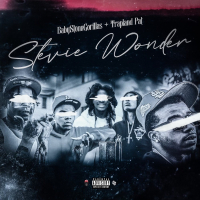 Stevie Wonder (Single)