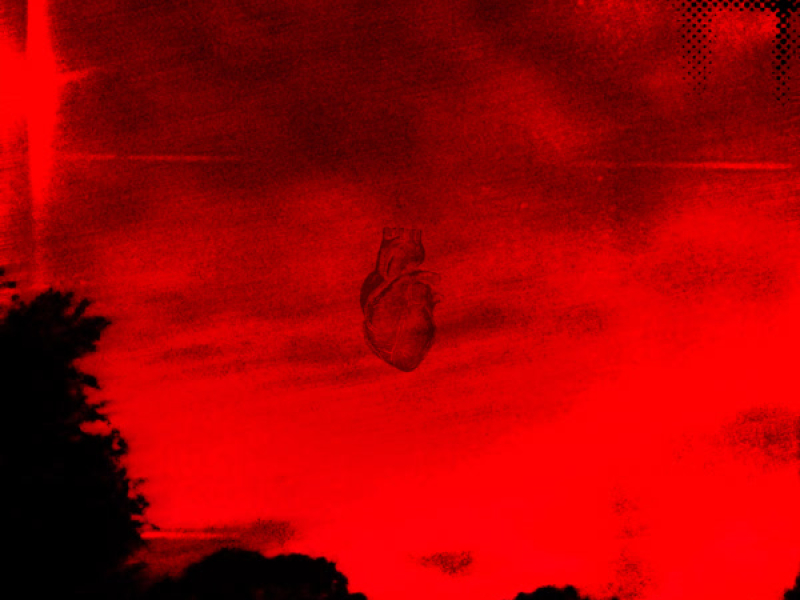 Wo auch immer du bist (Single)