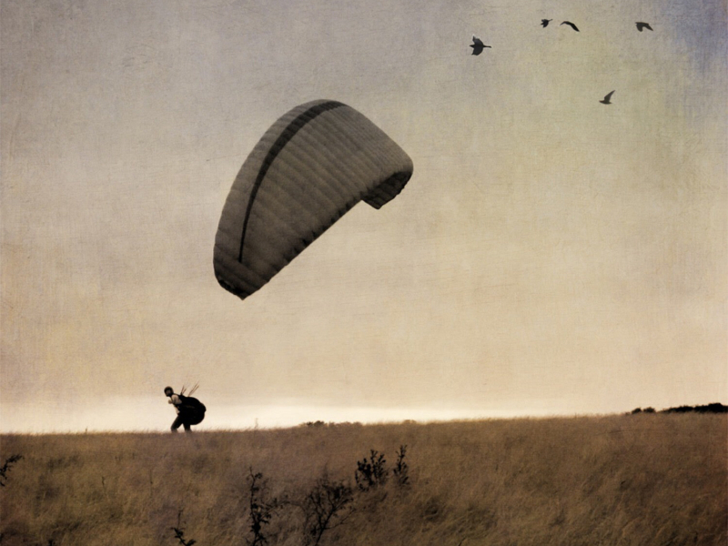 Dancing on the Wind (Single)