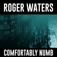 Comfortably Numb 2022 (Single)