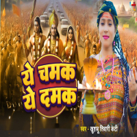 Ye Chamak Ye Damak (Single)