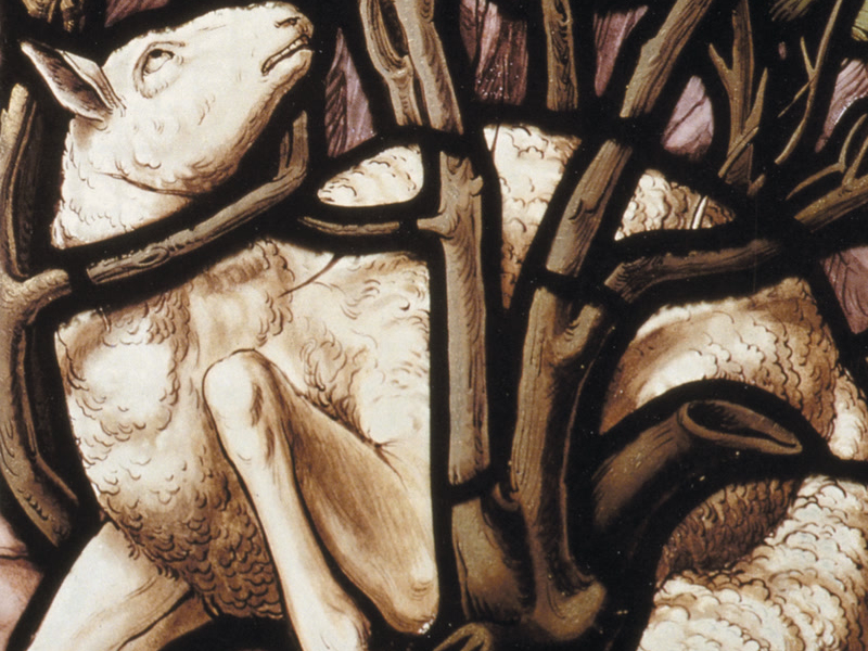 Sheppard: Church Music, Vol. 3