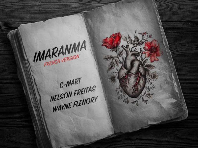 Imaranma (French Version) (Single)
