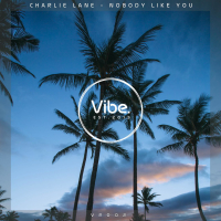 Nobody Like You (Single)