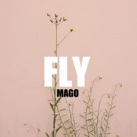 Fly (Single)