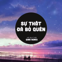 Sự Thật Đã Bỏ Quên (Qinn Remix) (Single)