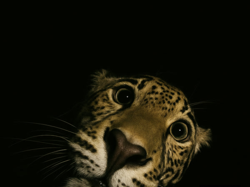 Not Gonna Work (Single)