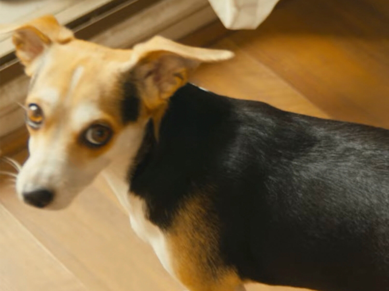 Soñé Contigo (Single)