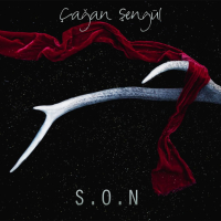 S.O.N (Single)