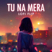 Tu Na Mera (Lofi Flip) (Single)