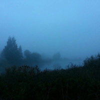 sorrow sleeps here (Single)