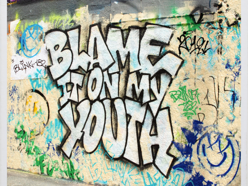 Blame It On My Youth