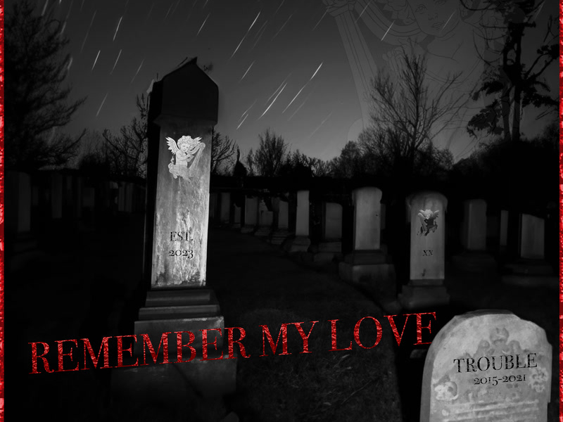 REMEMBER MY LOVE (Single)