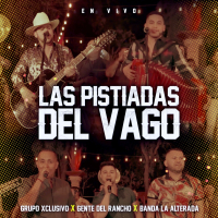 Las Pistiadas Del Vago (Live) (Single)