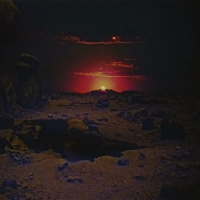 DISTORTED PERCEPTION (Single)