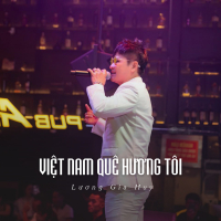 Việt Nam Quê Hương Tôi (Ytmix) (Single)