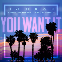 You Want It (feat. Tarrus Riley, DJ X.O. & Abrina) (Single)