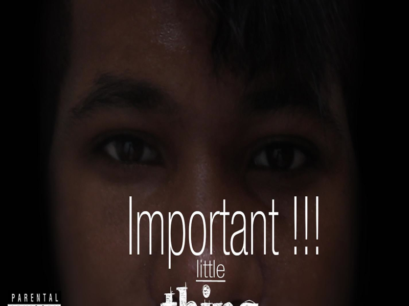 IMPORTANT little Thing's (Single)