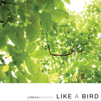 Like A Bird (Single)