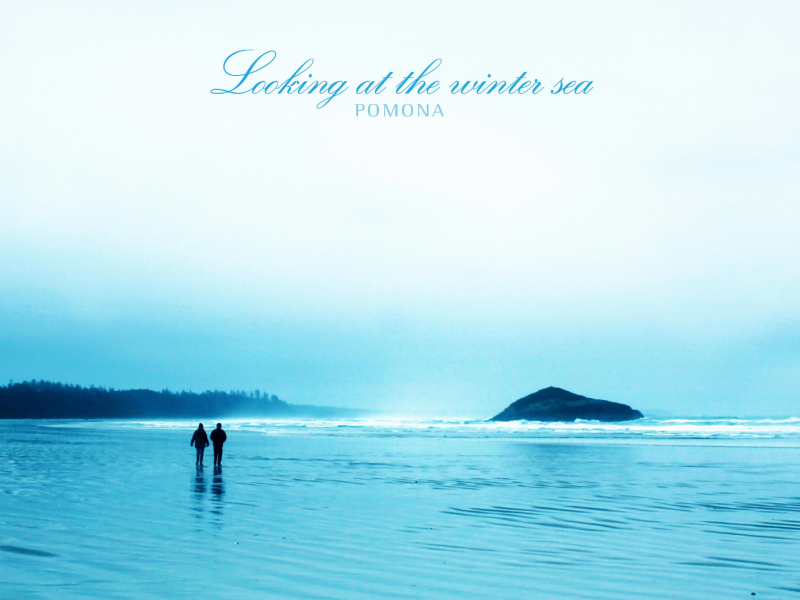 Looking At The Winter Sea (Single)