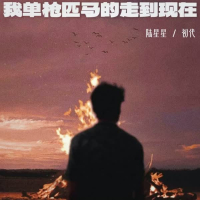 我单枪匹马的走到现在 (Single)