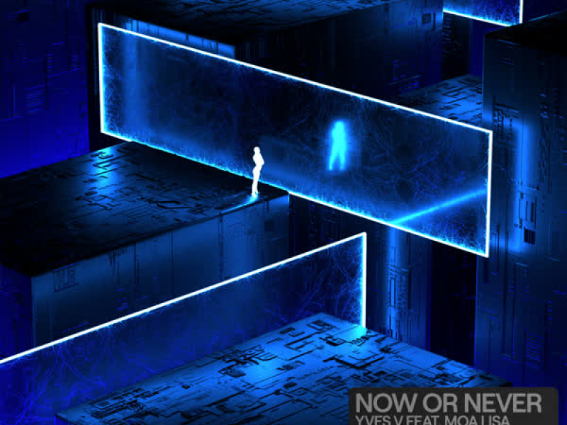 Now Or Never (Single)