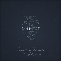 Hurt (Single)
