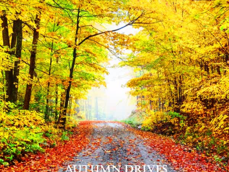 Autumn Drive (Single)