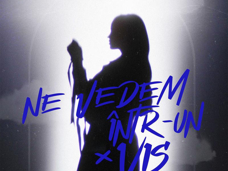 Ne vedem într-un vis (Single)