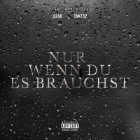 NUR WENN DU ES BRAUCHST (Single)