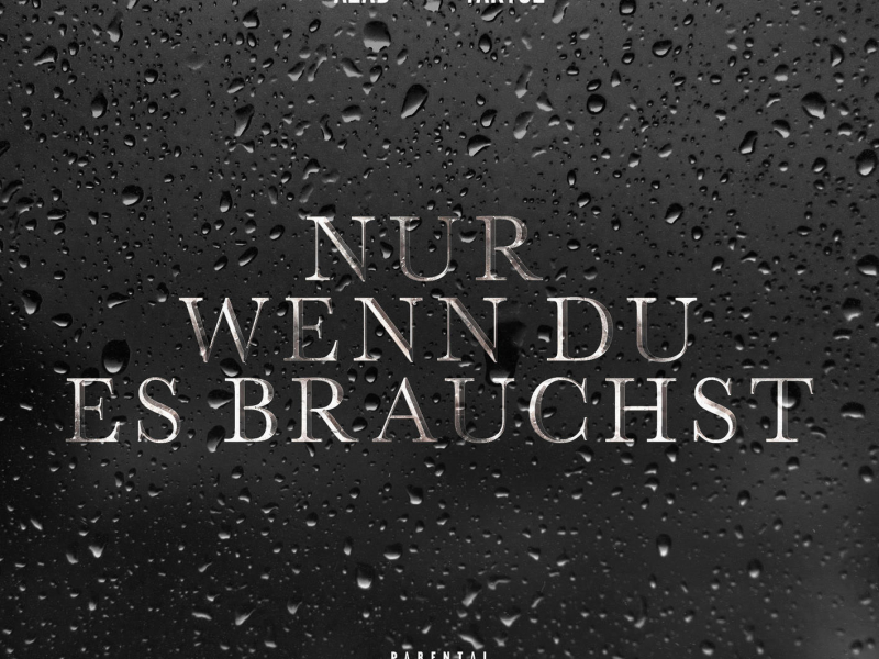 NUR WENN DU ES BRAUCHST (Single)