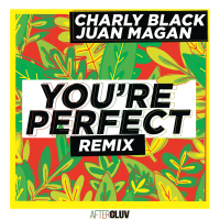 You're Perfect (Remix) (Single)