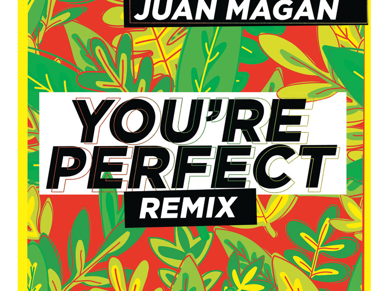 You're Perfect (Remix) (Single)
