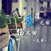 爱过几回伤几回 (Single)