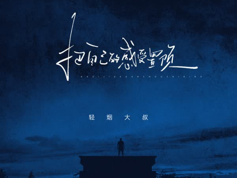 把自己的感受置顶 (Single)