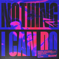 Nothing I Can Do (Single)