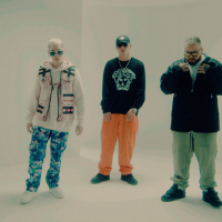 Te Vas (MV) (Single)