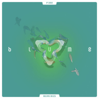 Fire (Remixes) (EP)