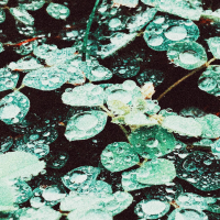 Rain chamber (Single)