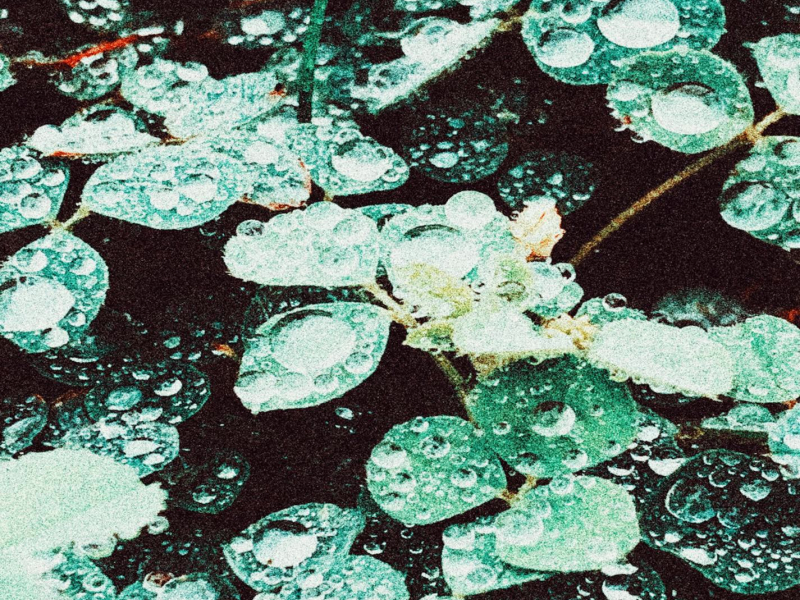 Rain chamber (Single)